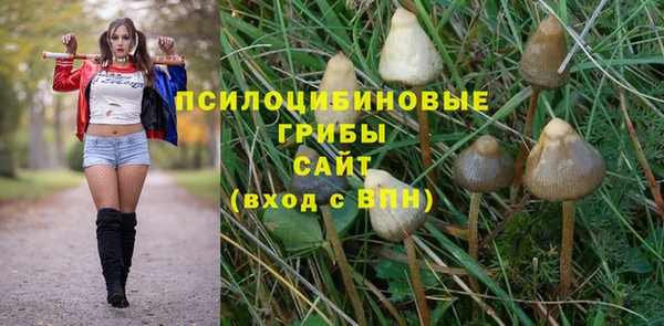 герыч Верхний Тагил