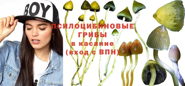 герыч Верхний Тагил
